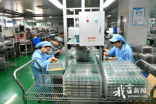 鹽城煥新記 走進金驛通光電科技，技術服務引領產(chǎn)業(yè)升級