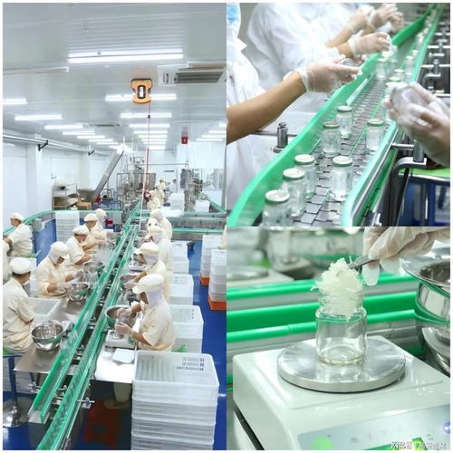 頂尖燕窩定制工廠的產(chǎn)品差異化之路 從配方到服務的全方位技術賦能