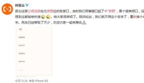 企業(yè)命名之“簡單順口” 從“京西”到“信息咨詢服務(wù)”的命名哲學(xué)